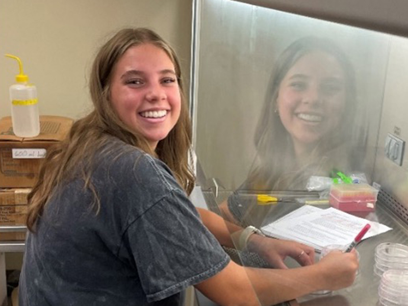 Bacterial Swarming Plates