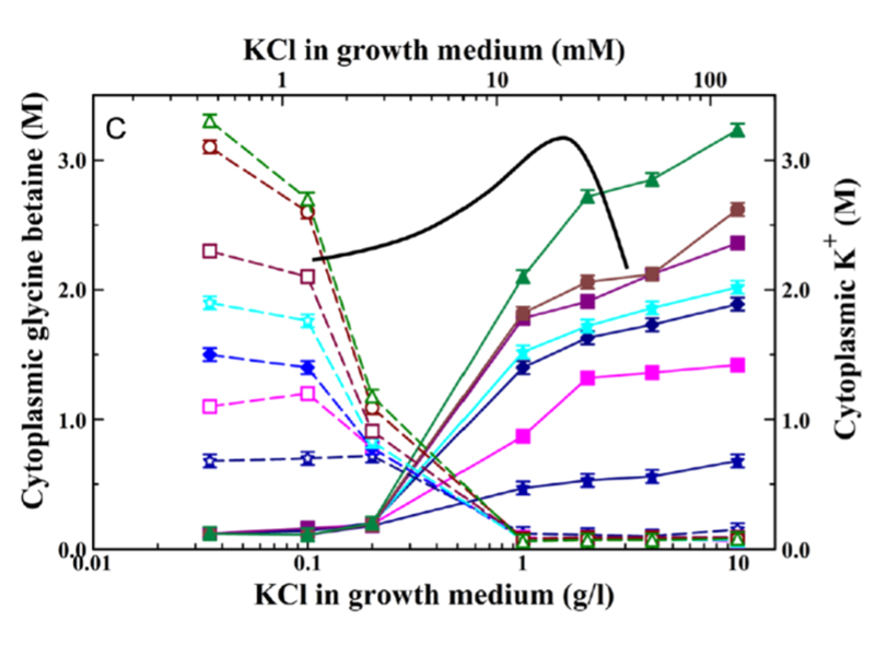 KCI in Growth Medium chart