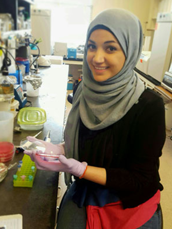 Rawan Eleshy working with Staphylococcus aureus