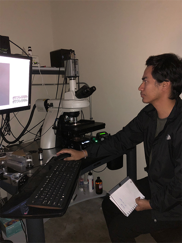 Ph.D. student Suman Maharjan at a computer