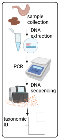 Dr. Liz McCullagh Project Figure