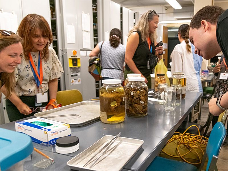 Students gathered around a table, looking at biology containers in a lab setting.