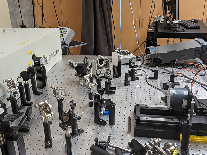 Transient Absorption Spectroscopy Transient Absorption Spectroscopy