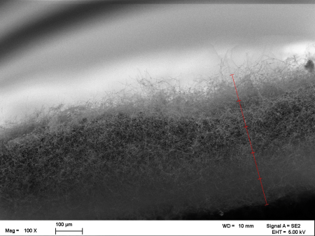 thick mat of nanosprings