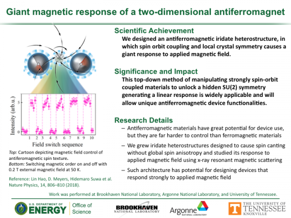 Giant Magnetic response of a 2-dimensional antiferromagnet