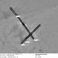 15:1 aspect ratio rods on sphere surface