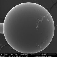 SEM of gold nanowire oh sphere surface