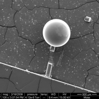 SEM of sphere with broken stem