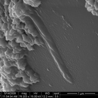 nanowire on surface