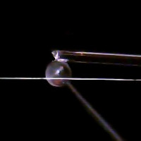Invasive loss addition for coupling regime