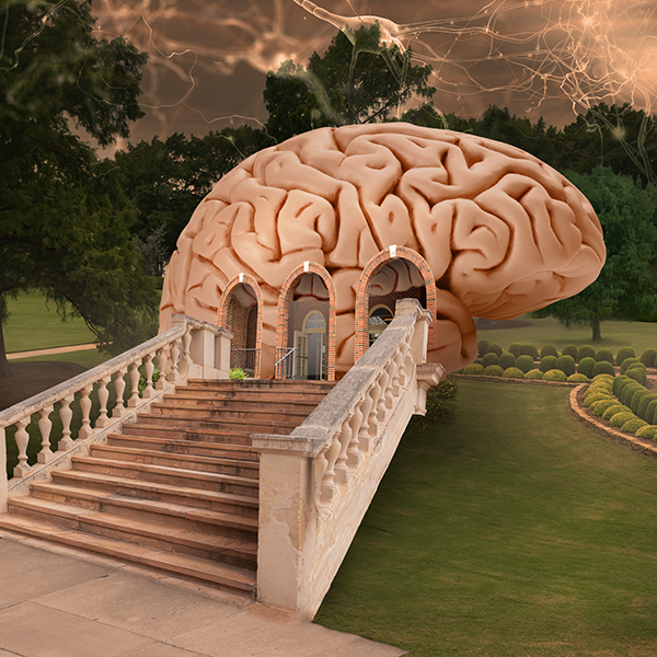 This is alt text for the image