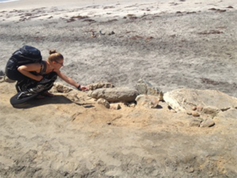 Female Examining rocks