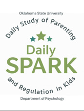daily spark logo