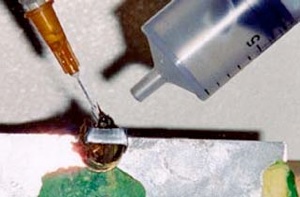 Large syringe administering the C odor. Large syringe administering the C odor.