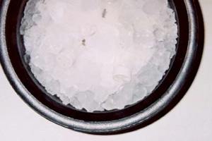 Putting bees to sleep in a bucket of ice Putting bees to sleep in a bucket of ice