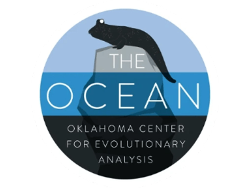 The OCEAN Logo The OCEAN Logo