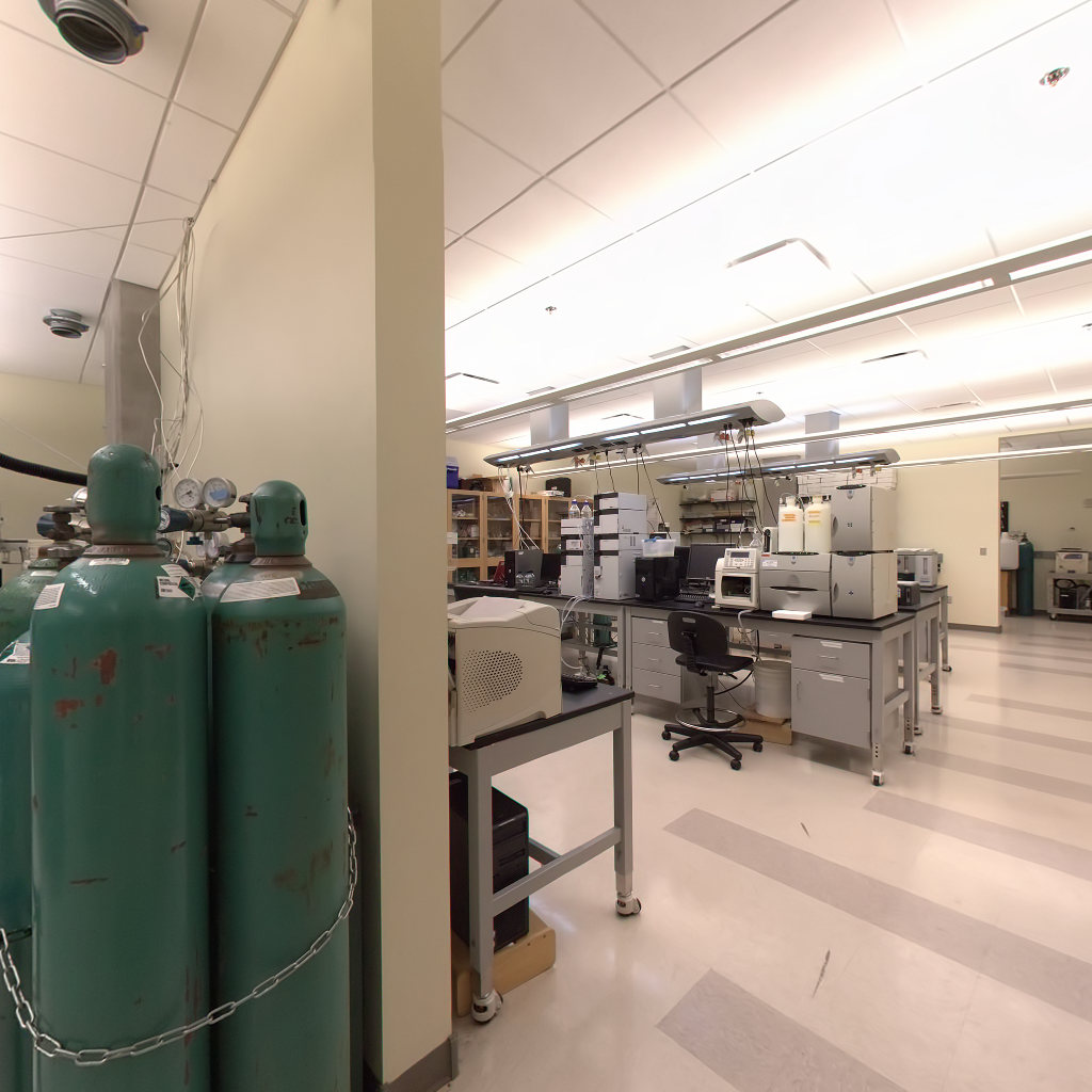 This is alt text for the image