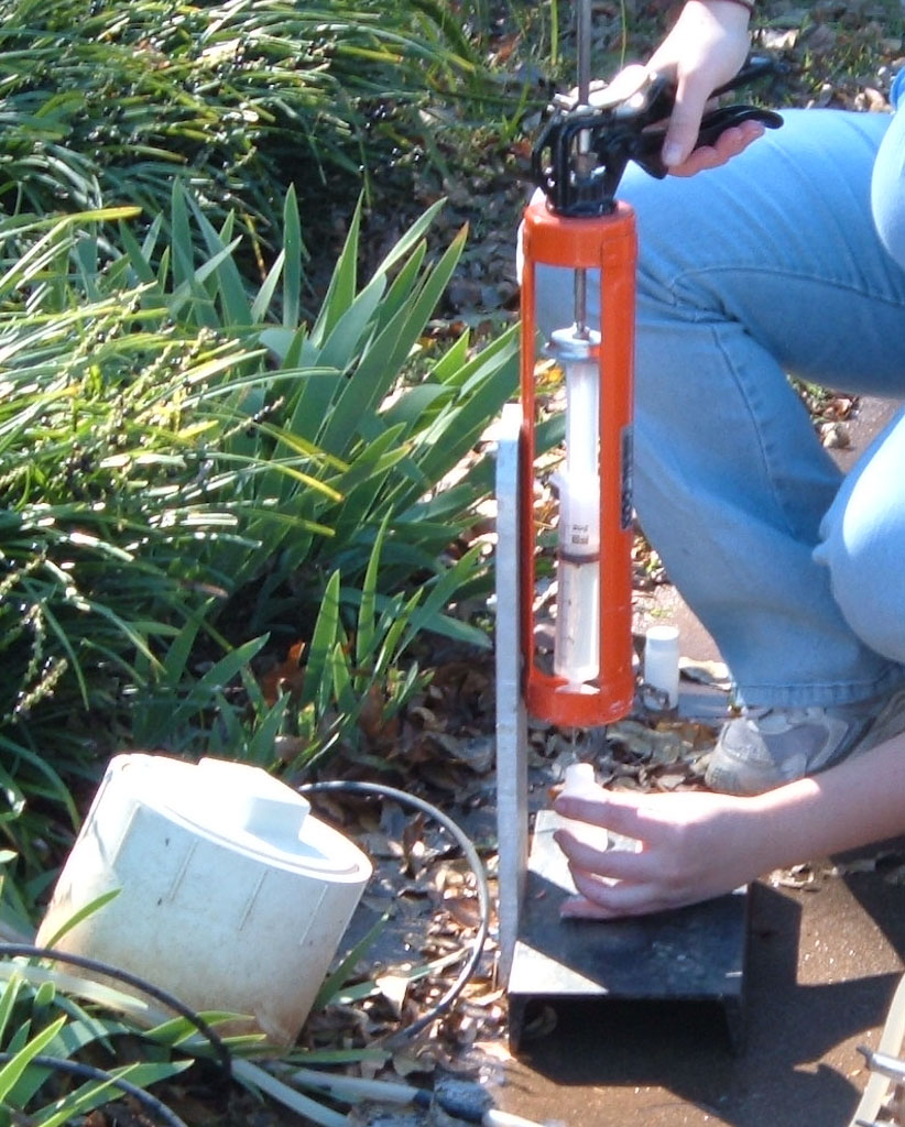 This is alt text for the image