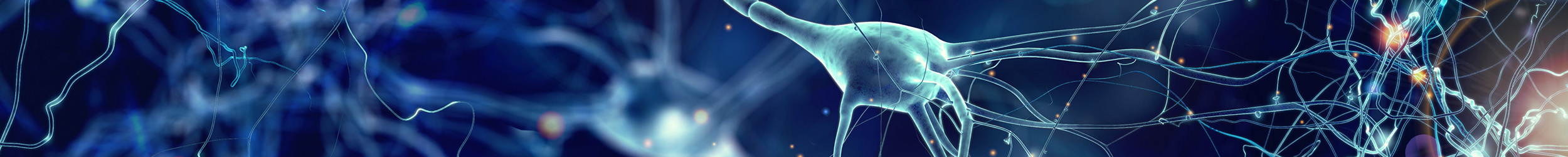 A close-up, digital illustration of a network of interconnected neurons and nerve cells A close-up, digital illustration of a network of interconnected neurons and nerve cells